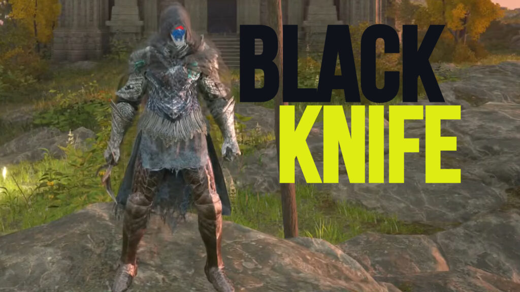 Best Elden Ring Black Knife Armor Based On Customer Ratings