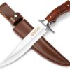 10 Best Amazon Bowie Knife To Buy Online